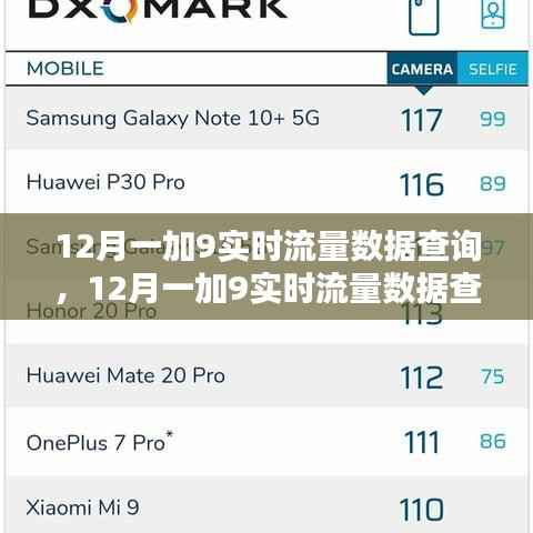 全面评测与介绍,12月一加9实时流量数据查询功能