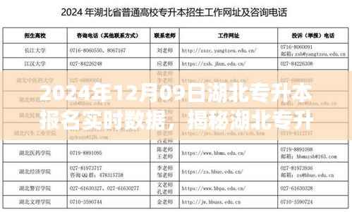 揭秘湖北专升本报名新神器，实时数据追踪开启智能报名新时代（实时更新至2024年12月09日）