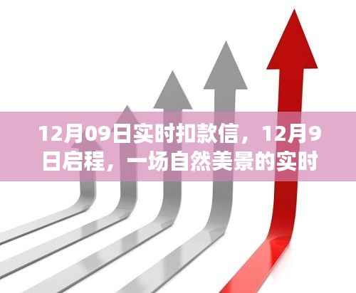 心灵之旅启程,实时扣款信带你解锁自然美景的十二月之旅