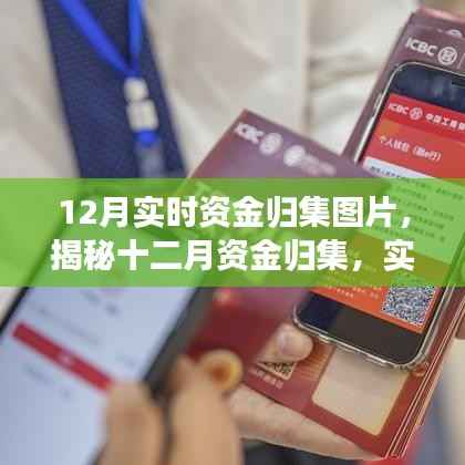 揭秘十二月资金实时归集,实时图片解读与洞察报告