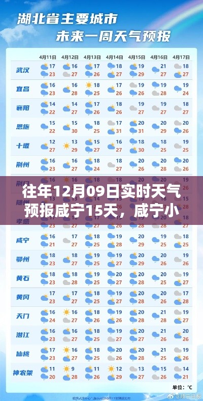 咸宁天气预报揭秘,小巷深处的天气秘密与特色小店的实时预报之旅