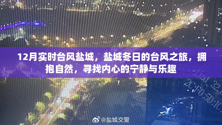 盐城冬台风之旅,拥抱自然,探寻内心宁静与乐趣的台风之旅