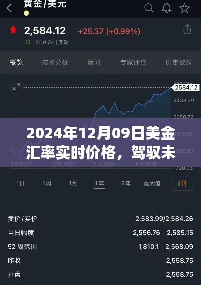 驾驭未来财富，揭秘2024年美金汇率实时价格，洞悉汇率波动中的财富机遇