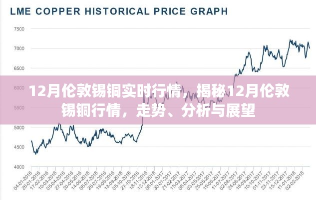 揭秘伦敦锡铜行情，走势分析、展望与实时行情动态（十二月版）