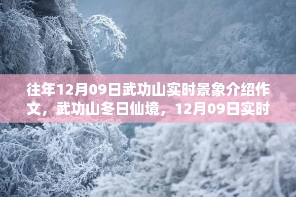 武功山冬日仙境,12月9日实时景象深度解析与介绍作文