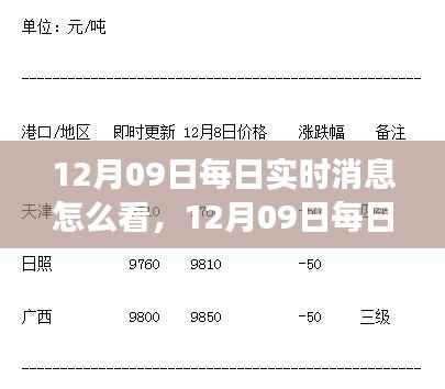 多维度视角下的观点碰撞与个人立场,解读12月09日每日实时消息