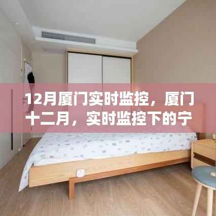 厦门十二月，实时监控下的宁静探索之旅