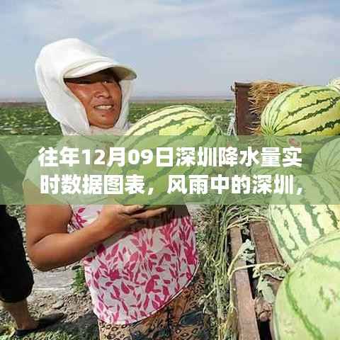 风雨中的深圳,一场励志的降水之旅实时数据图表展示往年变化与成长