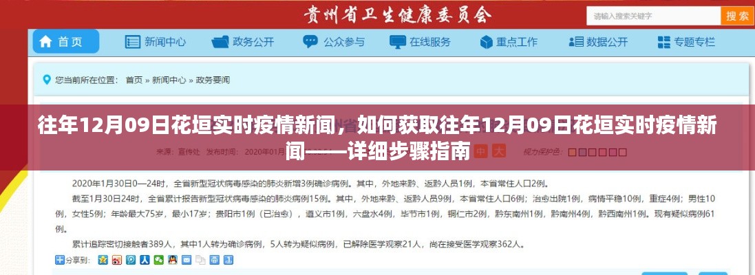 往年12月09日花垣实时疫情新闻获取指南,详细步骤与最新动态速递