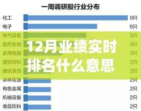 业绩之星，十二月实时排名背后的故事与温馨力量