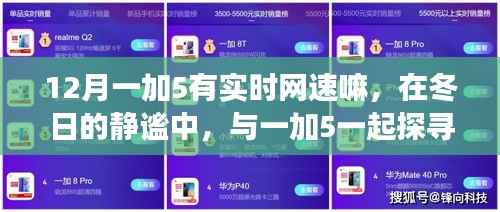 冬日的静谧与网速探寻,一加5的实时网速与自然美景之旅