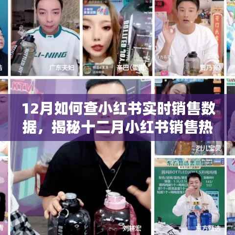 揭秘十二月小红书销售热潮,实时数据查询方法与技巧,洞悉销售趋势的秘诀!