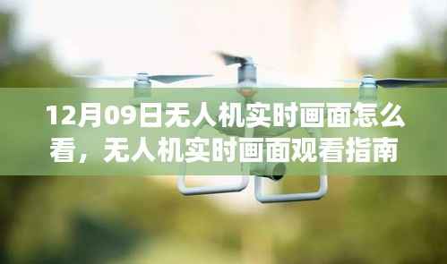 明目张胆 第4页