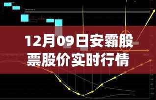 12月9日安霸股票实时行情,自然探索之旅与内心宁静的追求