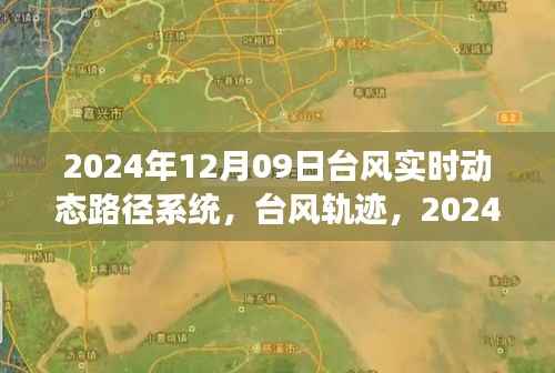 2024年台风实时动态追踪,路径系统、轨迹与风暴影响洞察