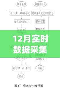 揭秘十二月实时数据采集系统架构图,构建高效数据监控与管理网络的核心技术解析