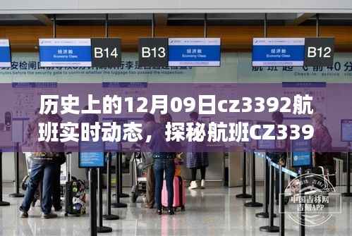 探秘CZ3392航班隐匿时光,航班动态与小巷奇遇记