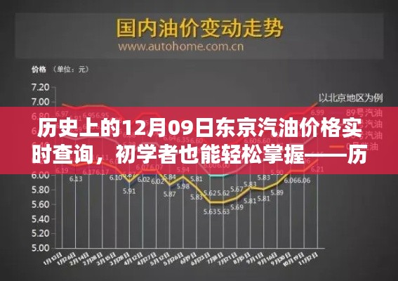 历史上的东京汽油价格实时查询攻略，初学者进阶版全指南