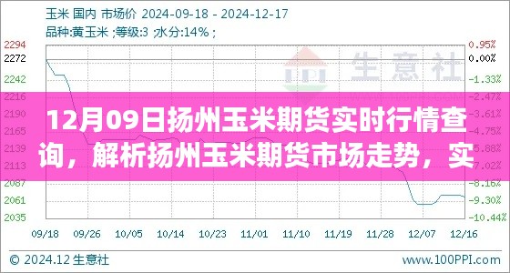 扬州玉米期货市场走势解析，实时行情下的多方观点博弈