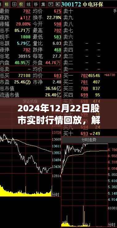 解码股市风云,深度回放与观点剖析——2024年12月22日股市实时行情回顾