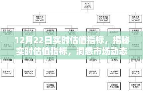 揭秘实时估值指标,洞悉市场动态,把握投资机遇(以12月22日为例)