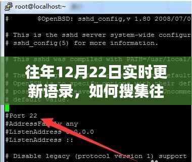 往年12月22日语录实时更新指南，搜集步骤与启示