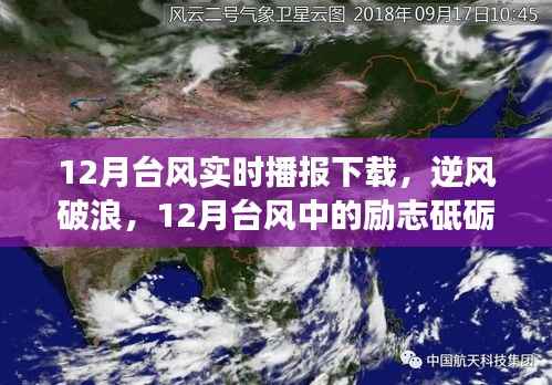 12月台风中的逆风破浪与梦想之旅,实时播报下的励志前行