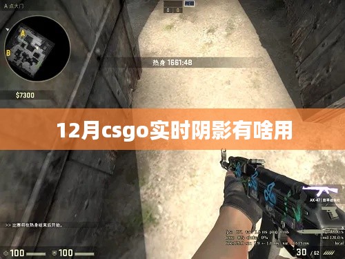 揭秘CSGO实时阴影功能，作用与影响分析