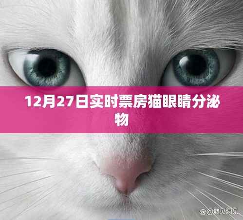 猫眼实时票房数据更新,猫眼睛分泌物话题热议