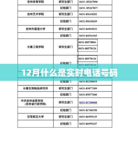 实时电话号码,了解十二月最新动态