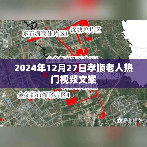 孝顺老人热门视频,关爱与陪伴的温暖时光