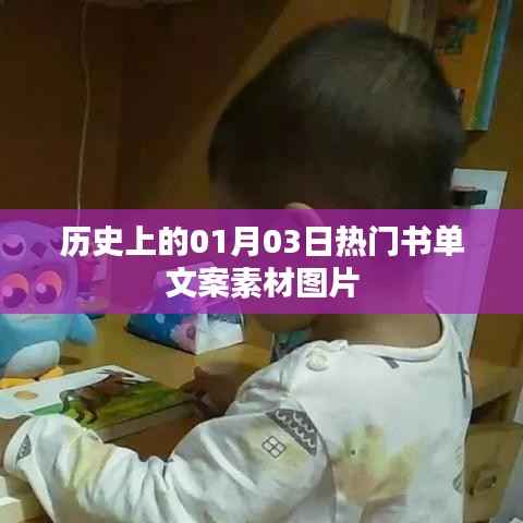 精选历史书单，一月三日热门读物与美图欣赏