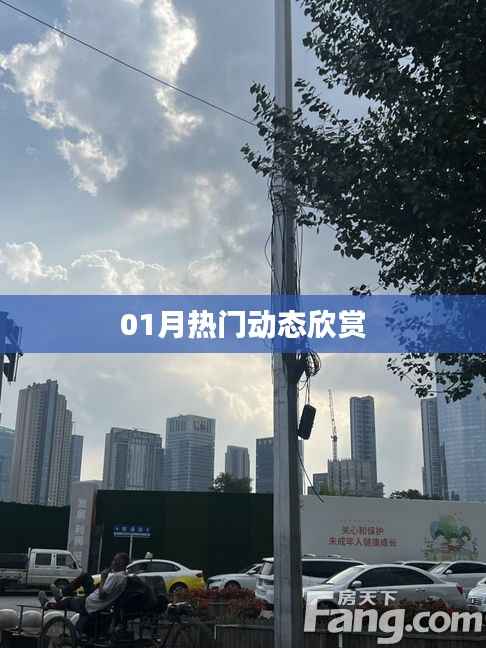 精选,一月热门动态大盘点