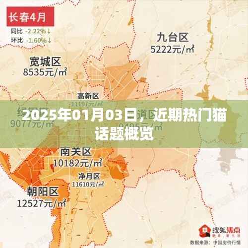 热门猫话题概览，2025年1月3日动态