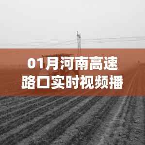 河南高速路口实时交通景象直播,繁忙交通一览无余