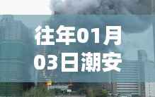 百鸟归巢 第3页