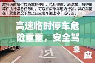 正声雅音 第2页