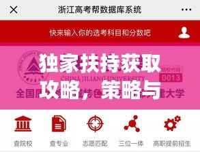 独家扶持获取攻略，策略与行动指南助你成功！