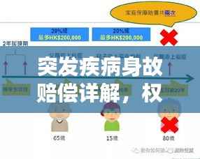 突发疾病身故赔偿详解,权益保障与赔偿流程指南