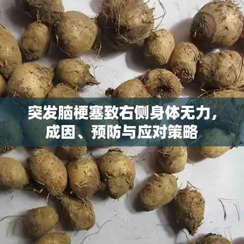 突发脑梗塞致右侧身体无力,成因、预防与应对策略