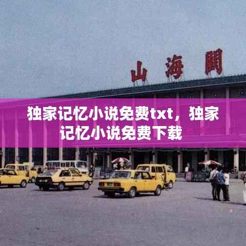 独家记忆小说免费txt,独家记忆小说免费下载