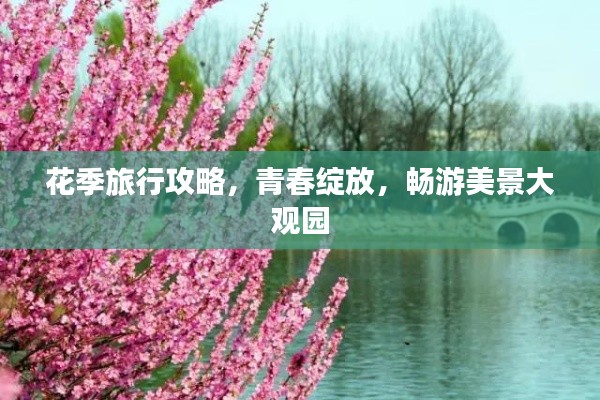 花季旅行攻略,青春绽放,畅游美景大观园