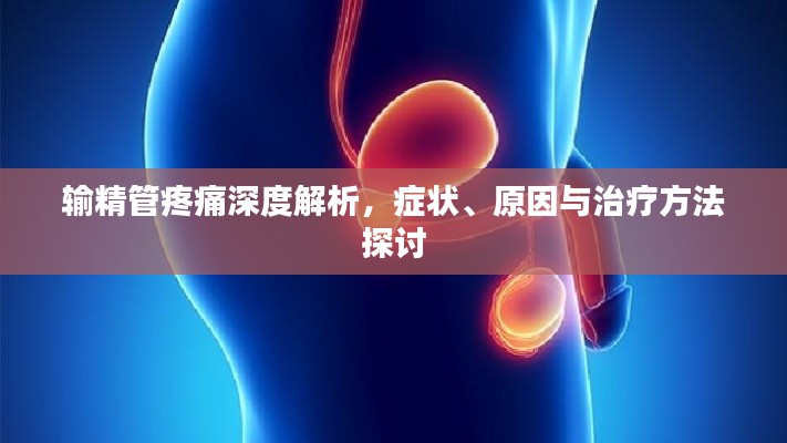 输精管疼痛深度解析,症状、原因与治疗方法探讨