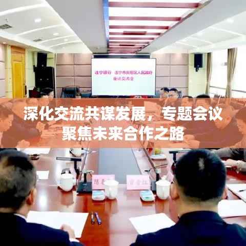 深化交流共谋发展，专题会议聚焦未来合作之路