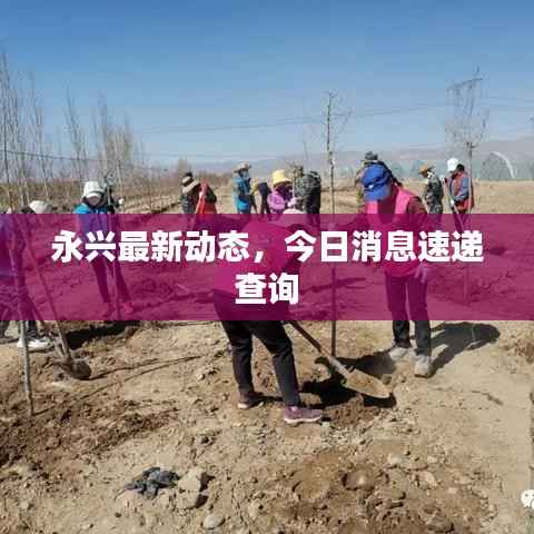 永兴最新动态，今日消息速递查询