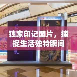 独家印记图片，捕捉生活独特瞬间的艺术之美