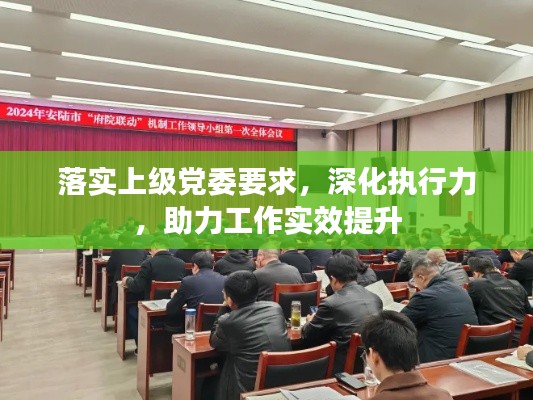 落实上级党委要求,深化执行力,助力工作实效提升
