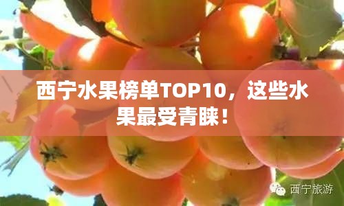 西宁水果榜单TOP10,这些水果最受青睐!