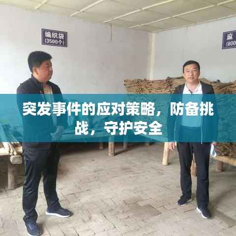 突发事件的应对策略,防备挑战,守护安全