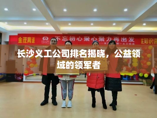 长沙义工公司排名揭晓,公益领域的领军者